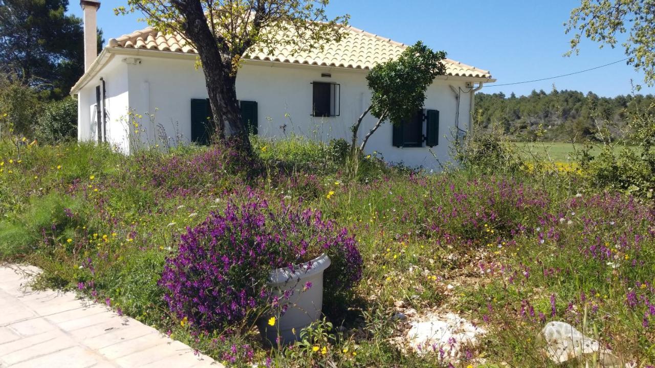 Appartement Dorinda à Agia Marina  Extérieur photo
